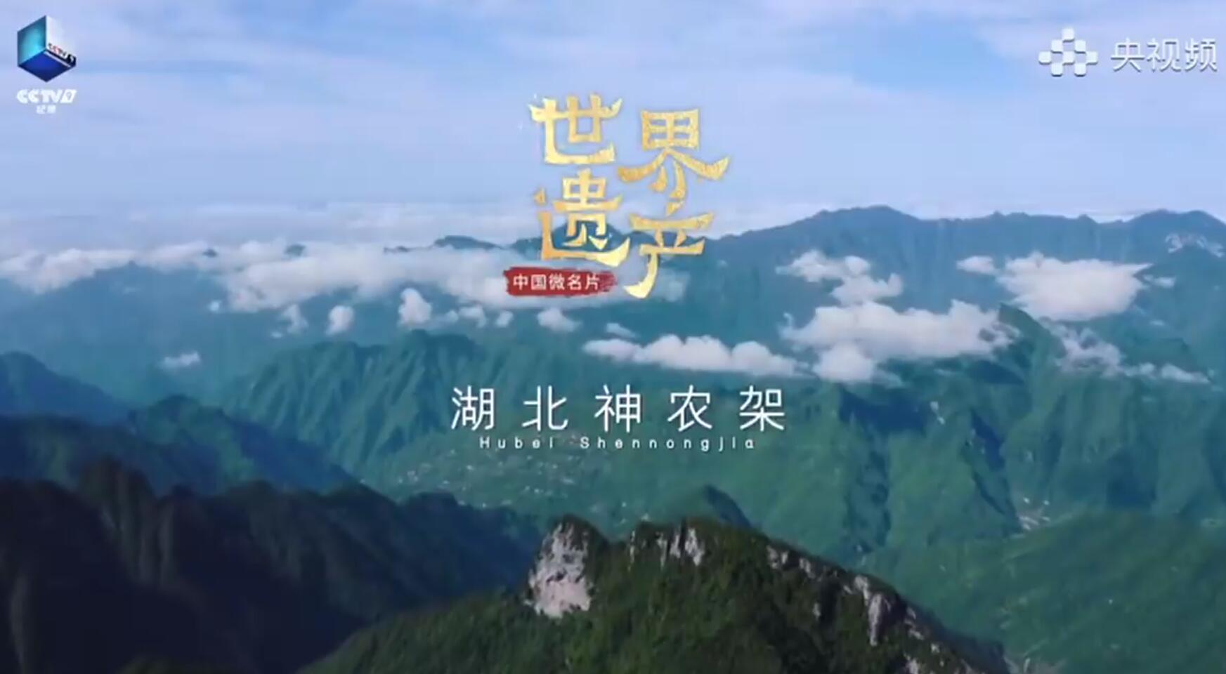 《中國微名片·世界遺產》 《中國微名片·世界遺產》——湖北神農架